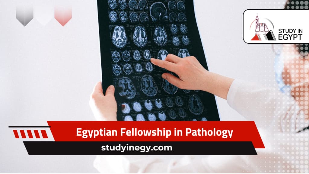 Egyptian Fellowship in Pathology