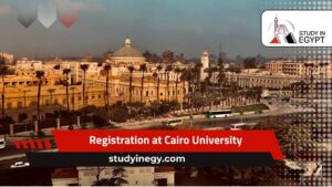 Registration at Cairo University for expatriates