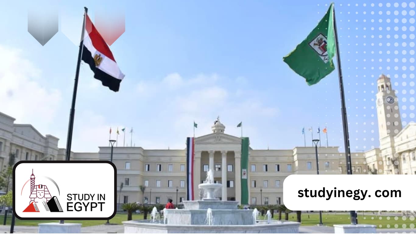 Study Abroad Consultant in Dammam