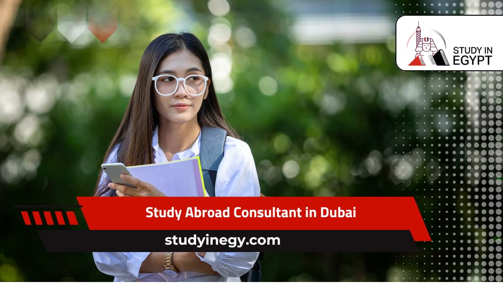 Study Abroad Consultant in Dubai