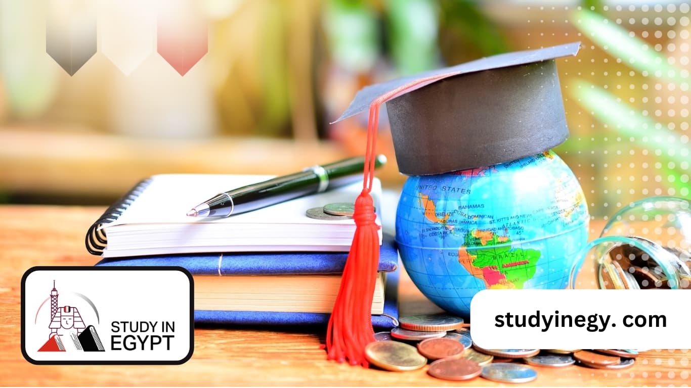 Study Abroad Consultant