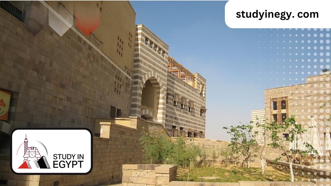 List of Egyptian Universities Recognized in Germany
