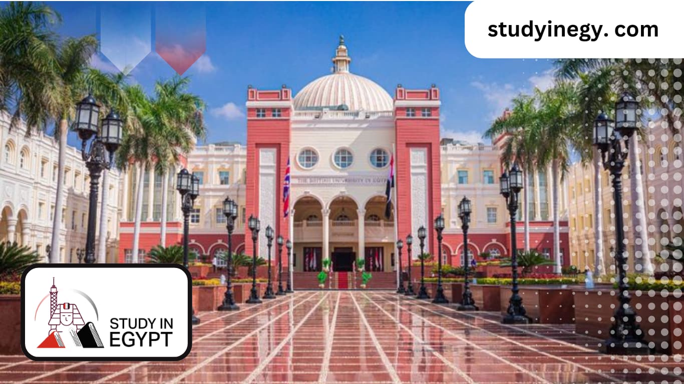 List of Egyptian Universities Recognized for Engineering Equivalency in Canada