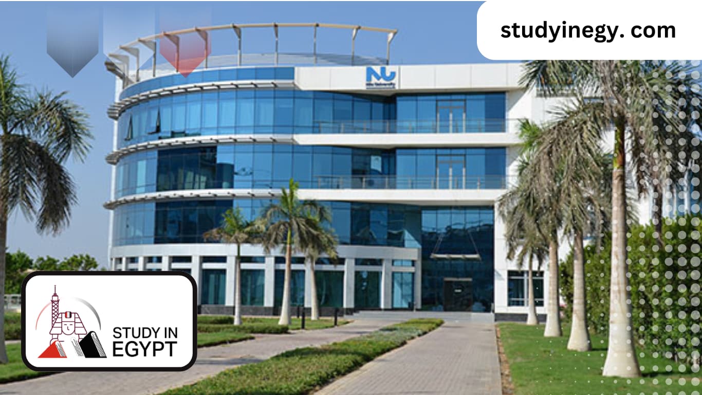 Nile University Fees
