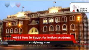 MBBS fees in Egypt for Indian students