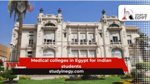 Medical colleges in Egypt for Indian students