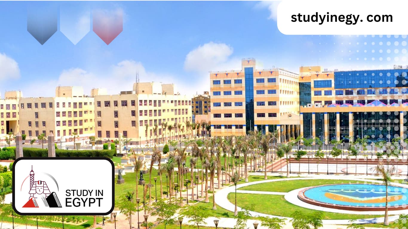 Best Physiotherapy University in Egypt