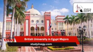 British University in Egypt Majors