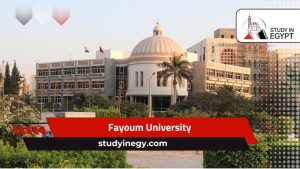 Fayoum University