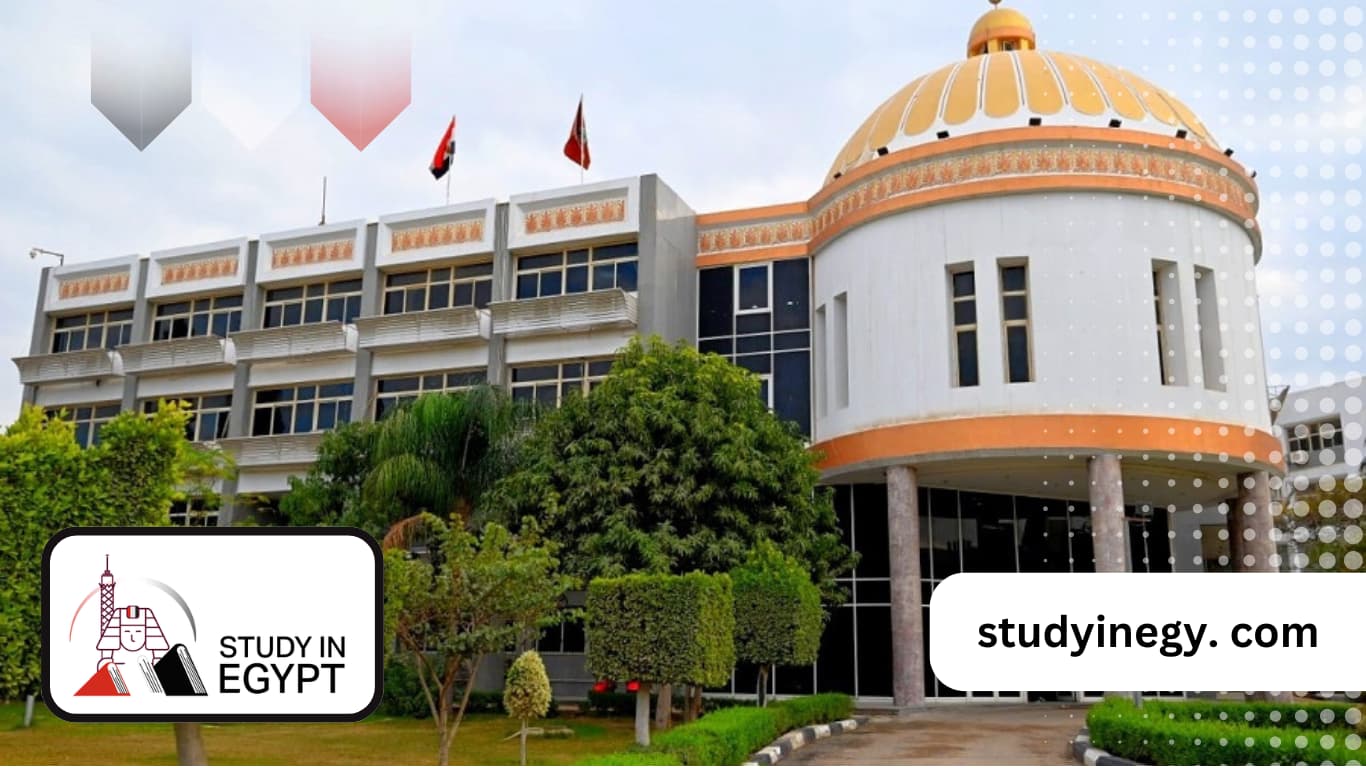 Fayoum University