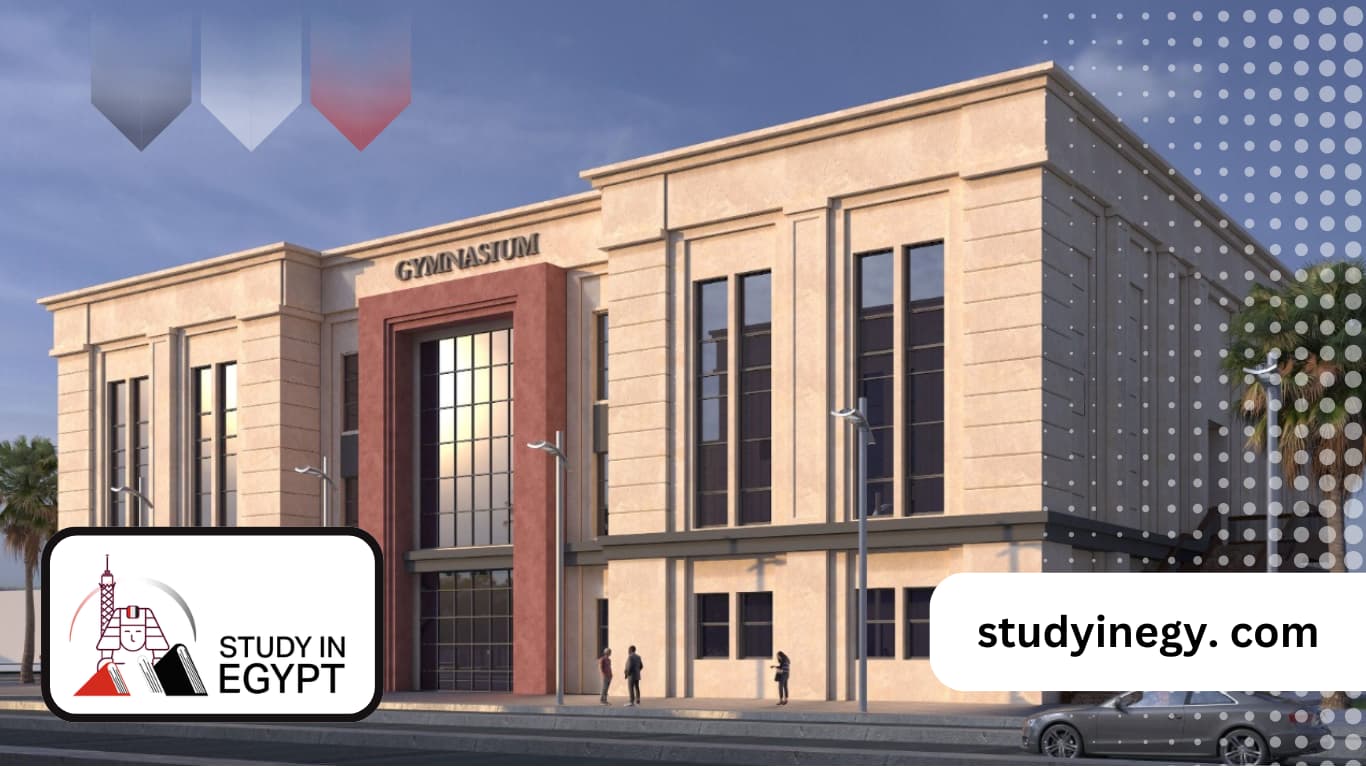 New Mansoura University