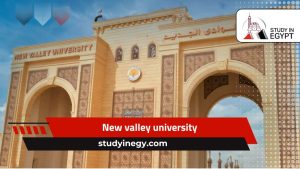 New valley university