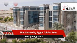Nile University Egypt Tuition Fees