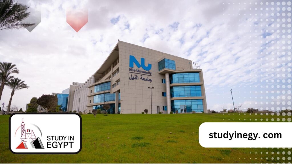 NILE UNIVERSITY MASTERS PROGRAMS visual data 4