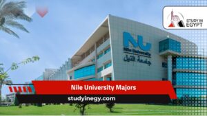 Nile University Majors