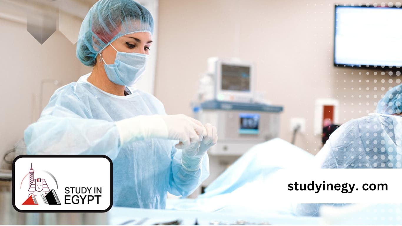 list of Egyptian medical schools recognized in the USA