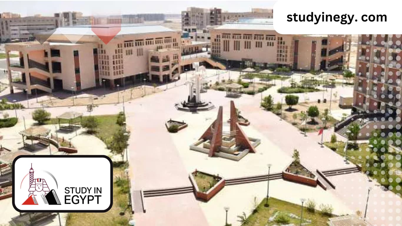 Sohag University