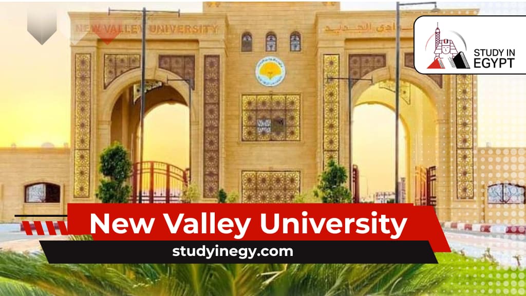 New Valley University