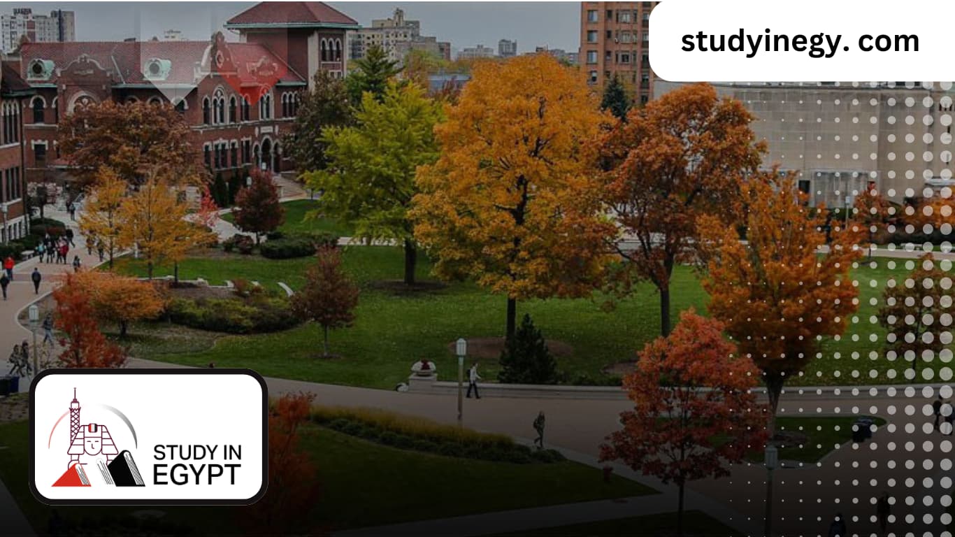 New Valley University