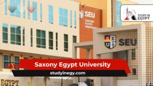 Saxony Egypt University