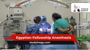 Egyptian Fellowship Anesthesia