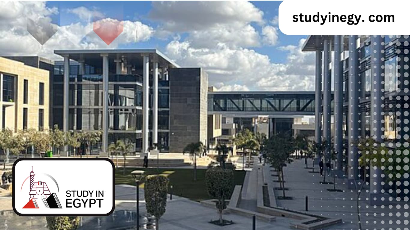 Ranking Of Medical Schools in Egypt