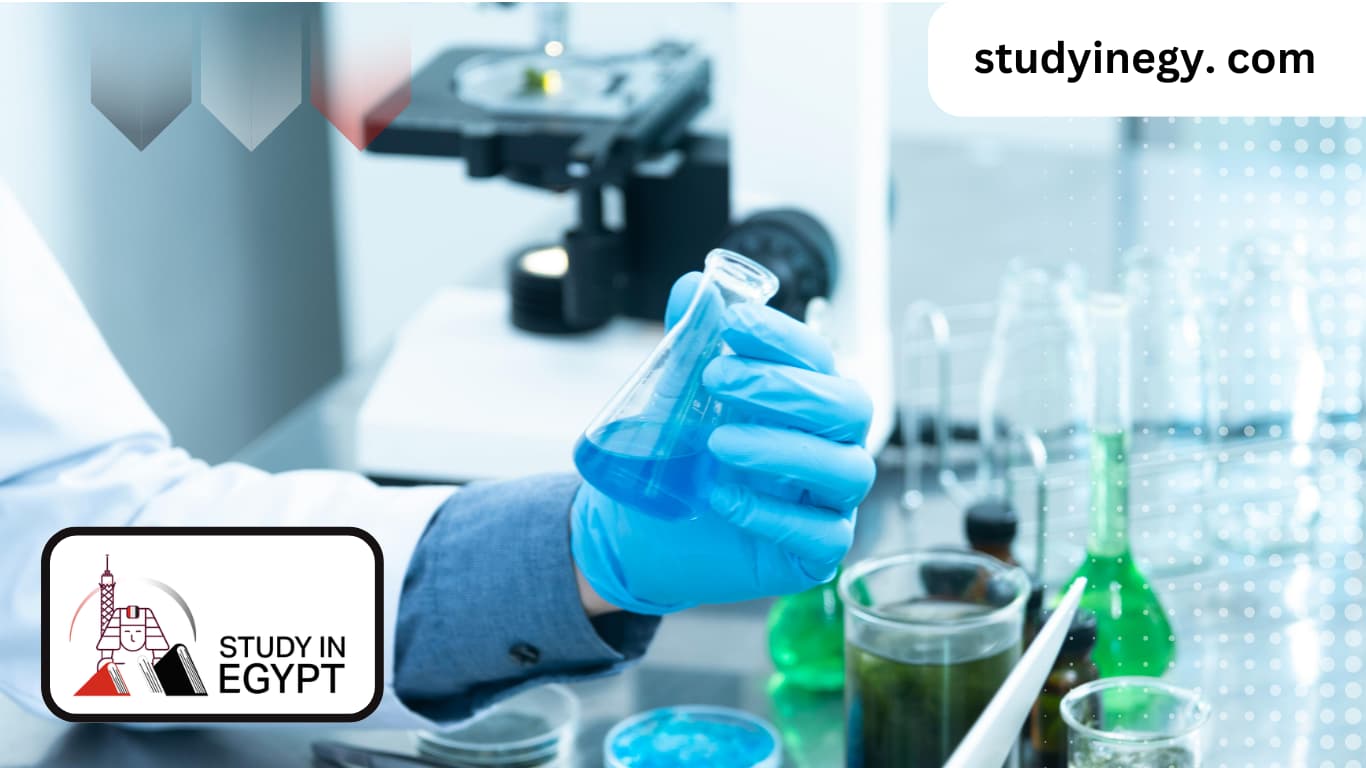 Ain Shams University Faculty of Medicine