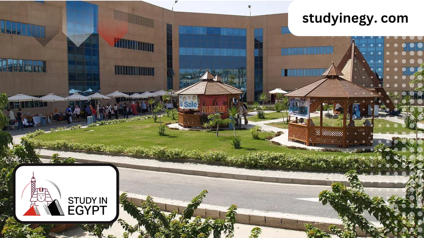 List of Egyptian Dental Schools Recognized in the UK