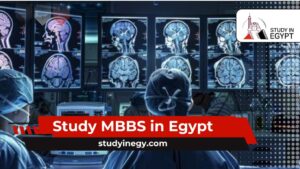 Study MBBS in Egypt