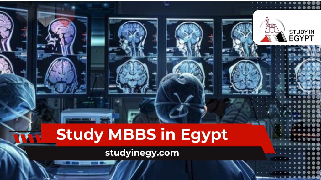 Study MBBS in Egypt