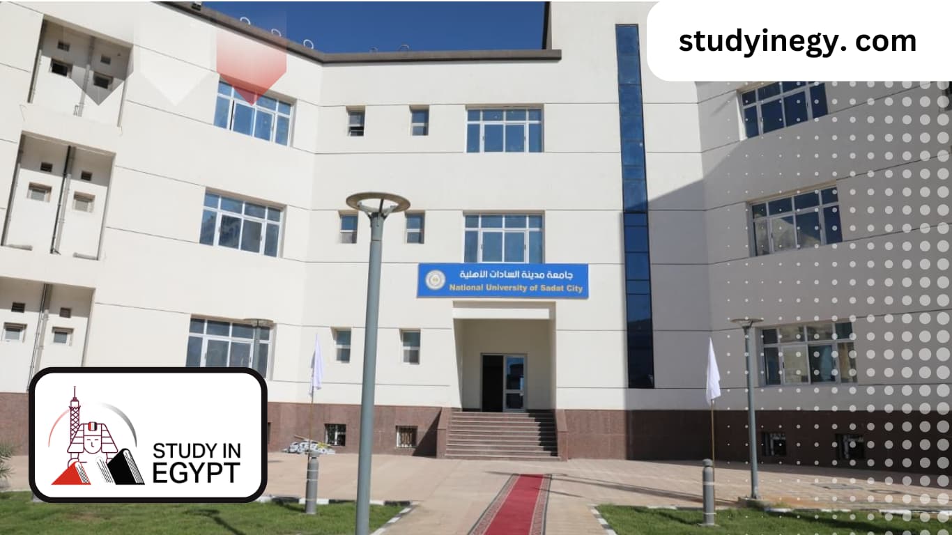 Sadat City University