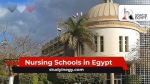 Nursing Schools in Egypt