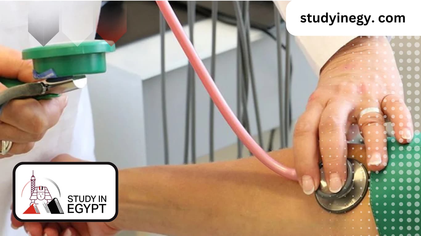 Nursing Schools in Egypt