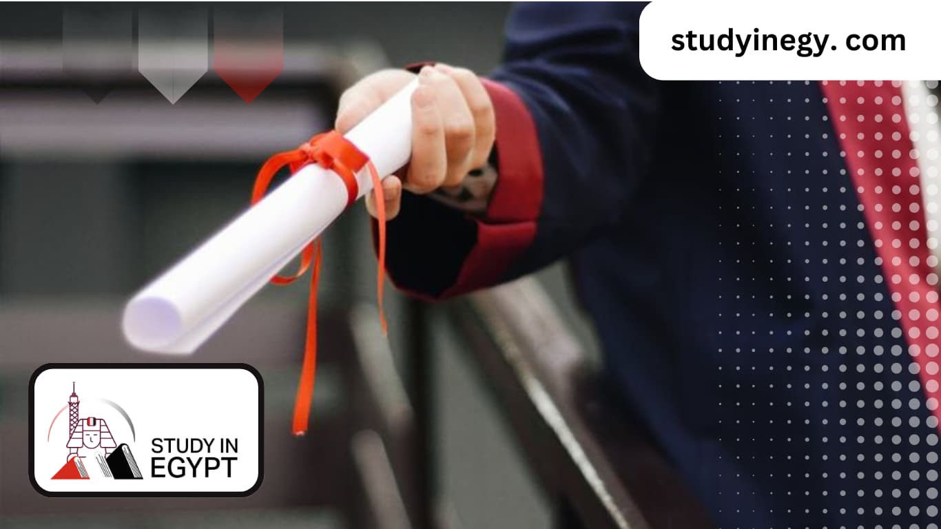 Ain Shams University Admission Requirements