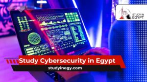Study Cybersecurity in Egypt