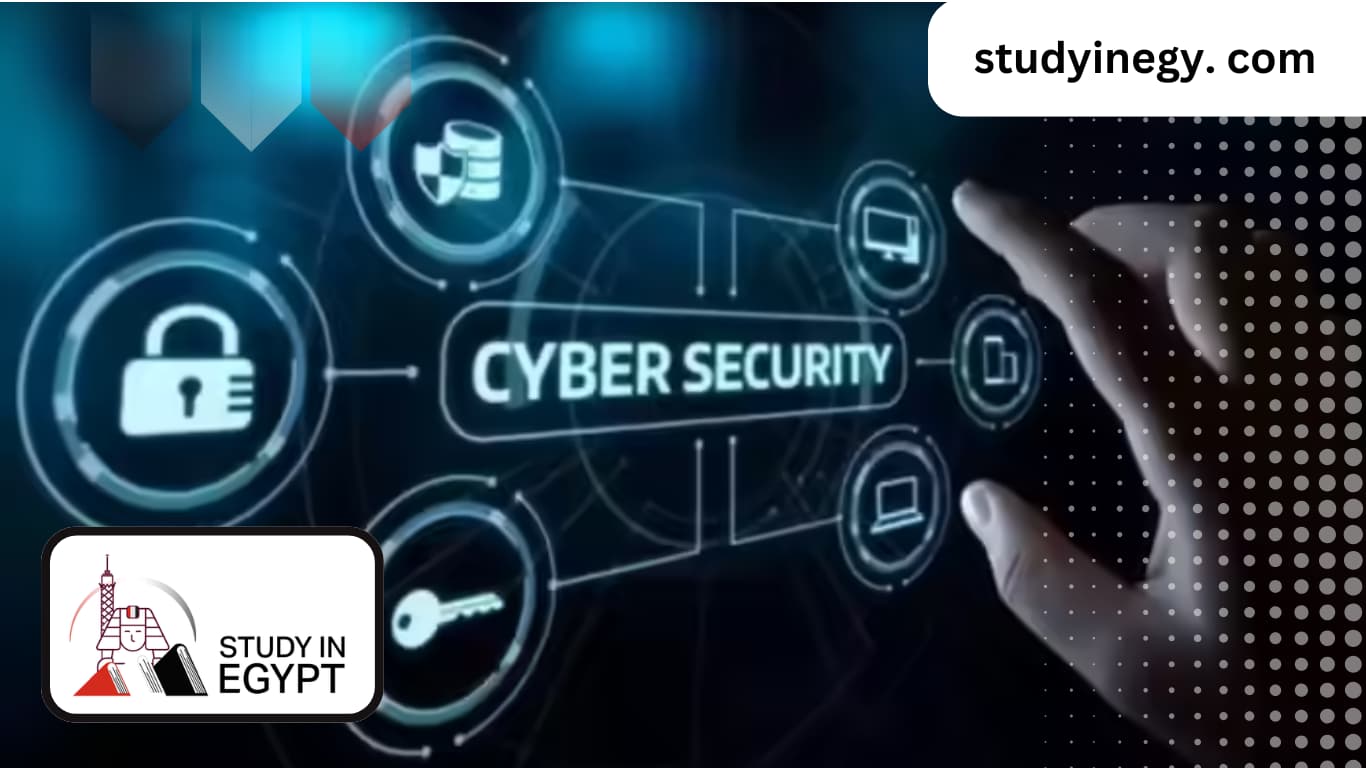 Study Cybersecurity in Egypt