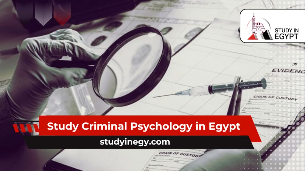 Study Criminal Psychology in Egypt