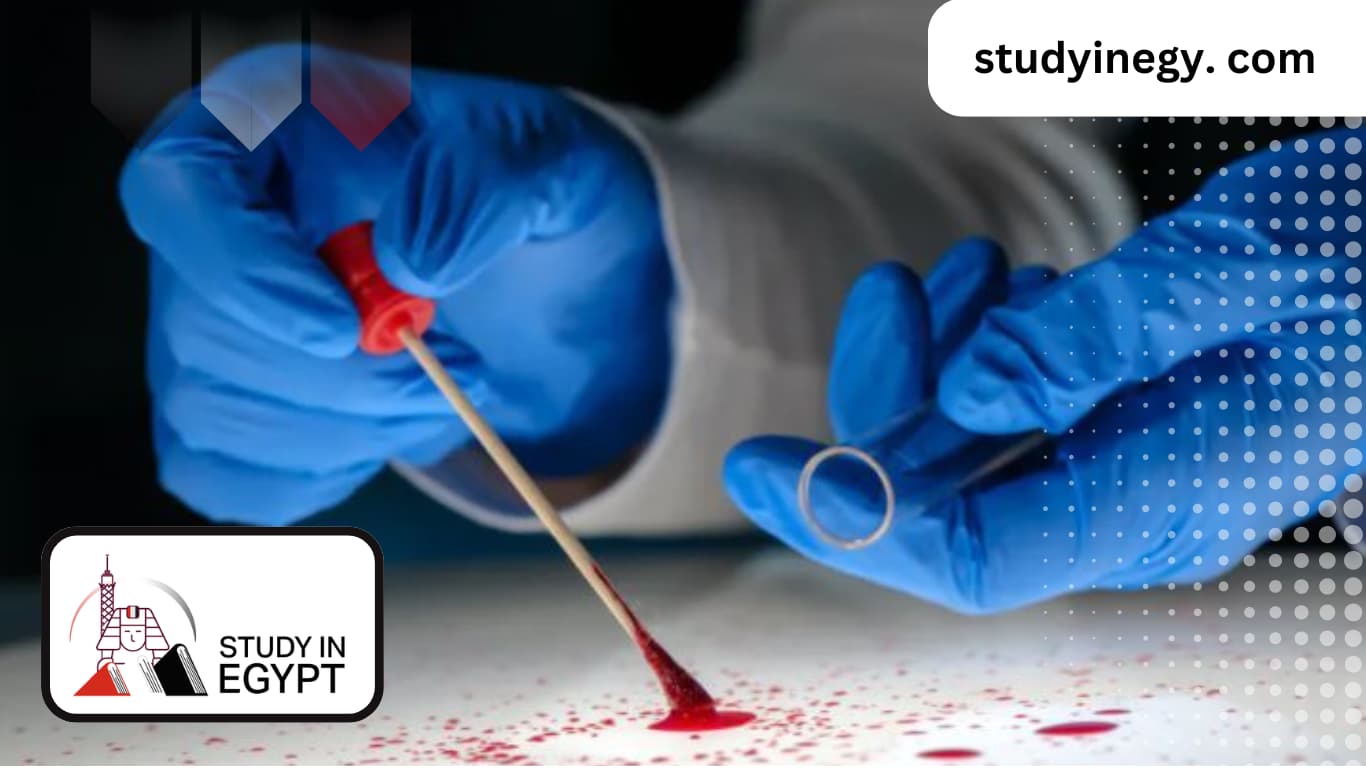 Study Criminal Psychology in Egypt