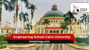 Engineering School Cairo University