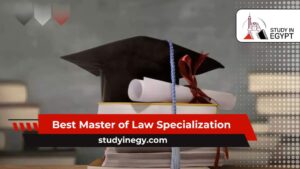 Best Master of Law Specialization