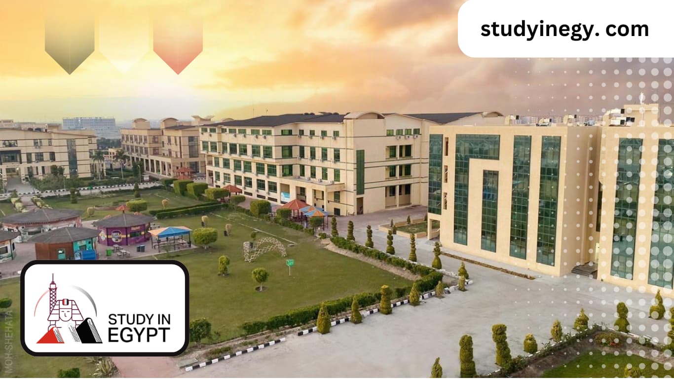 Delta University Majors