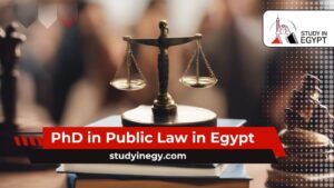 PhD in Public Law in Egypt