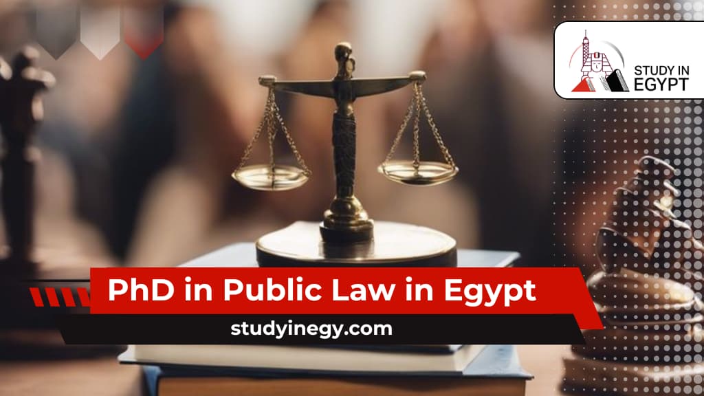 PhD in Public Law in Egypt