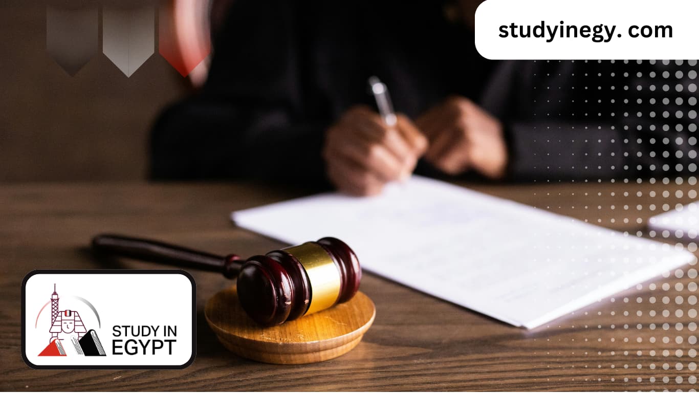 PhD in Public Law in Egypt