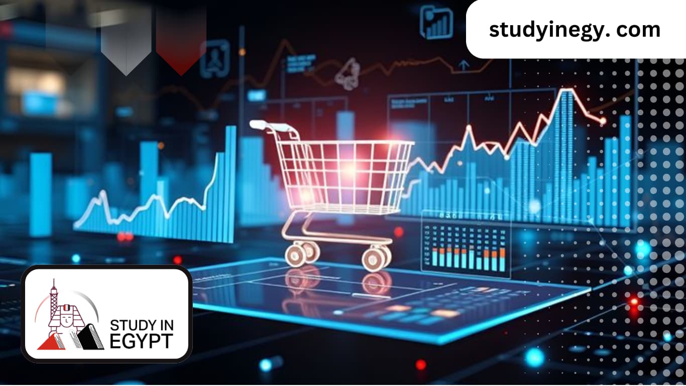 PhD in Commercial Law in Egypt