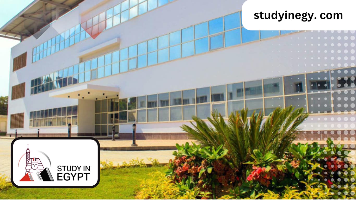 Physiotherapy college fees in Egypt