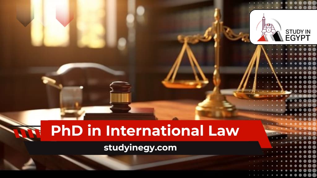 PhD in International Law