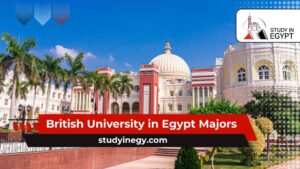 British University in Egypt Majors