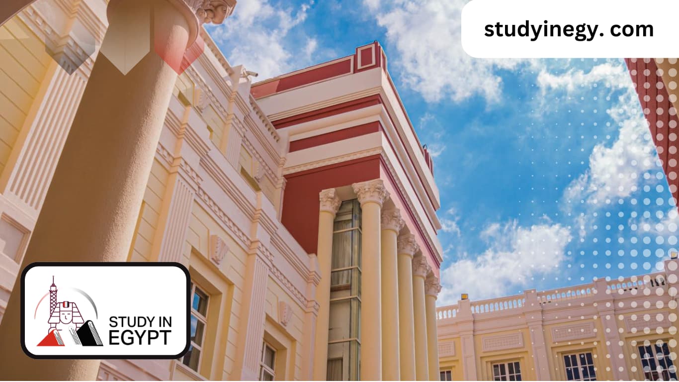 British University in Egypt Majors
