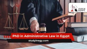 PhD in Administrative Law in Egypt